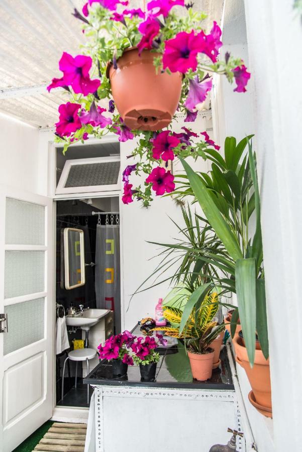 Cosy Flat In City Center Ponta Delgada  Exterior photo